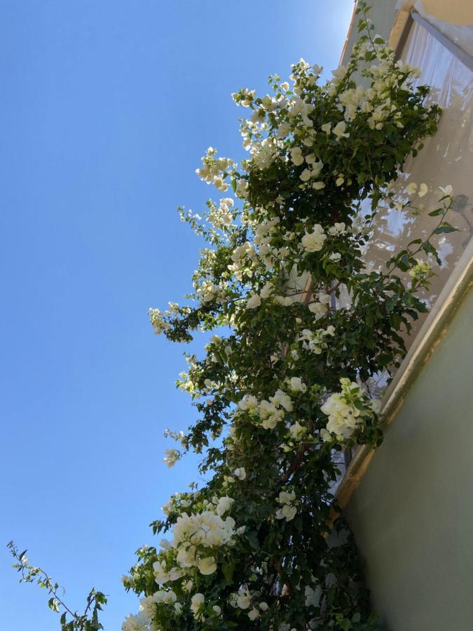 Simple Home Madaba Exterior foto